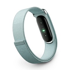 Фитнес-браслет Google Fitbit Air Fog (Серый Туман)
