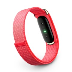 Фитнес-браслет Google Fitbit Air Berry (Ягодный)